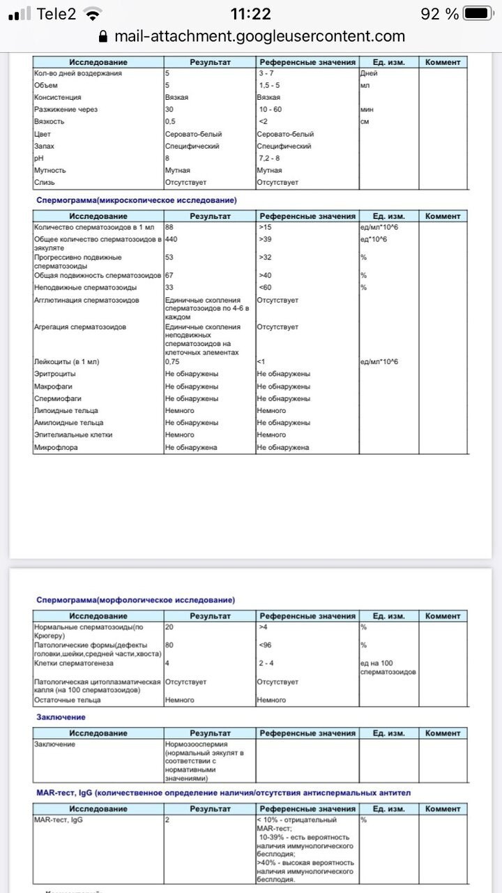 Исследование спермы, спермограмма и МАР-тест