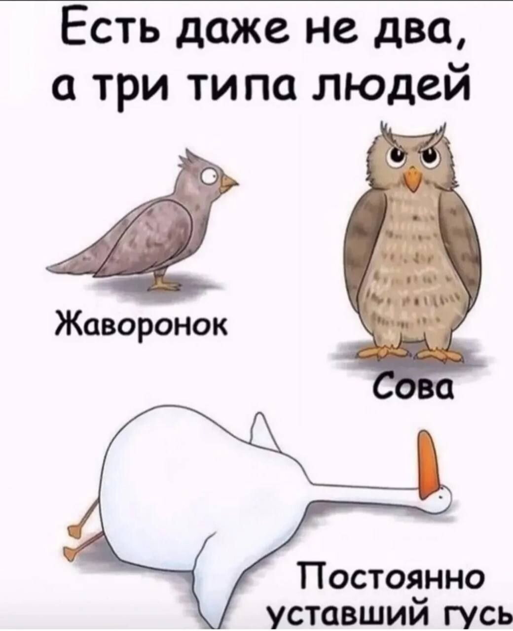 На сколько заряжена ваша батарейка? Чем заряжаетесь?