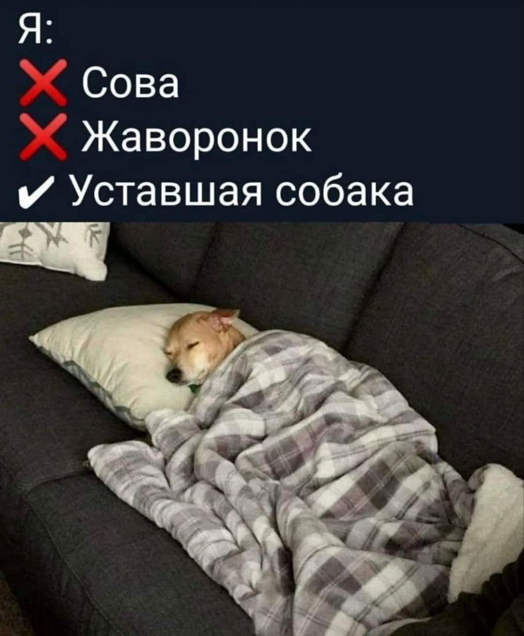 Кто вы по выходным?