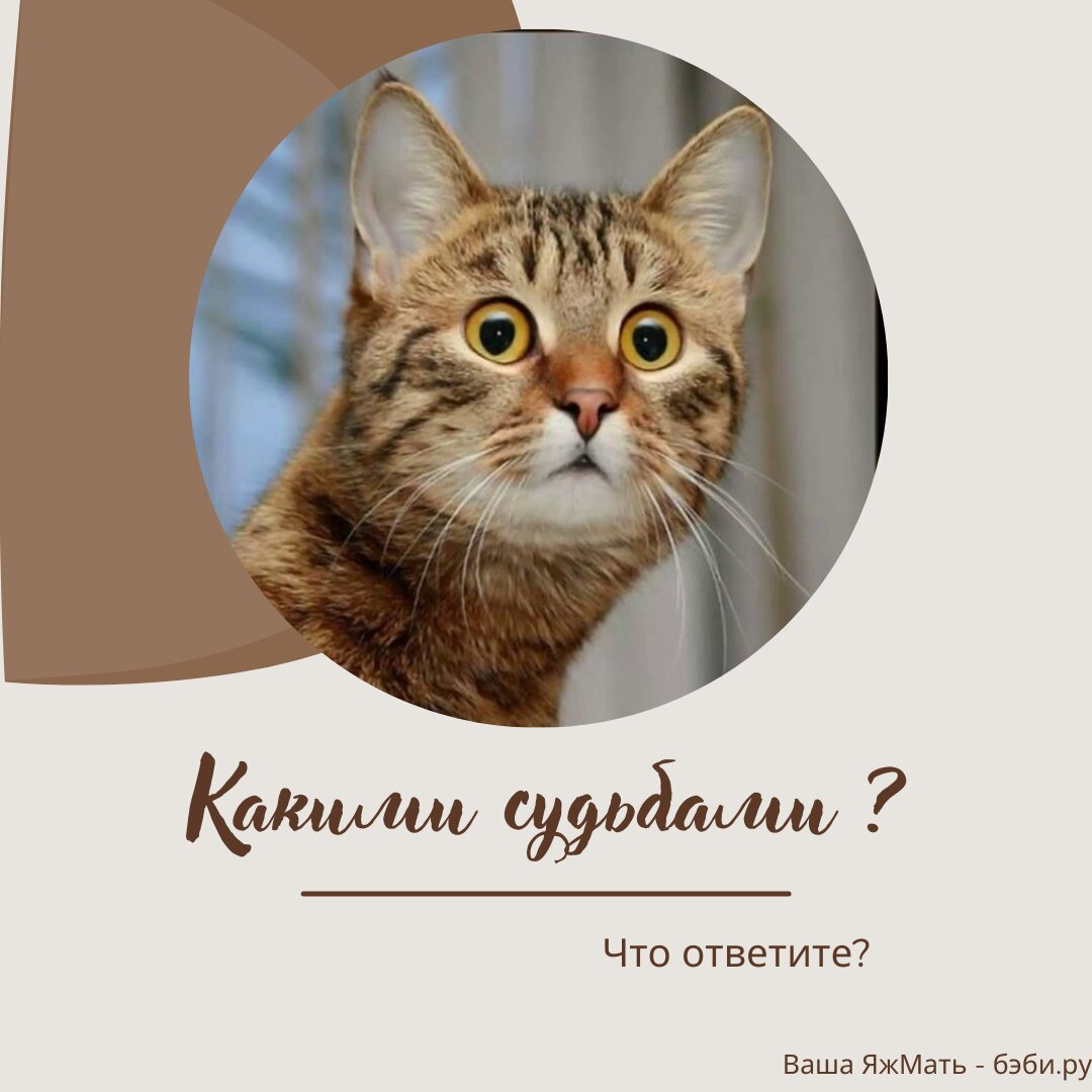 Какими судьбами что ответить?
