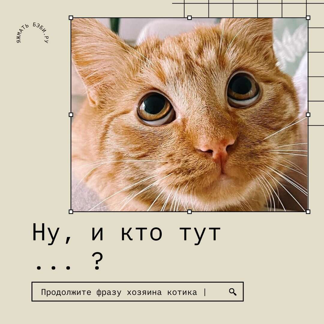 Котейка натворил ))) Что сказать?