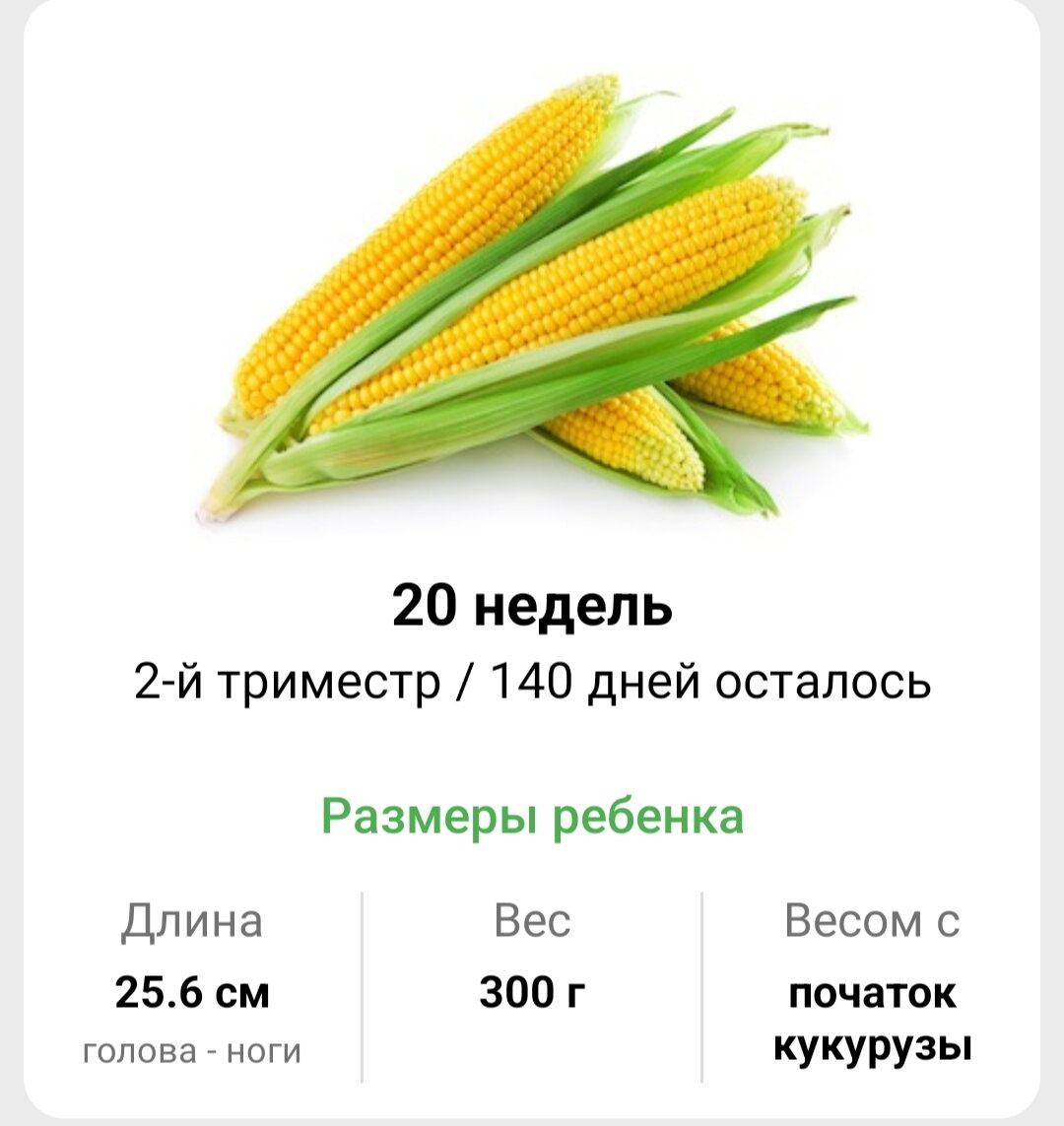 Экватор ??