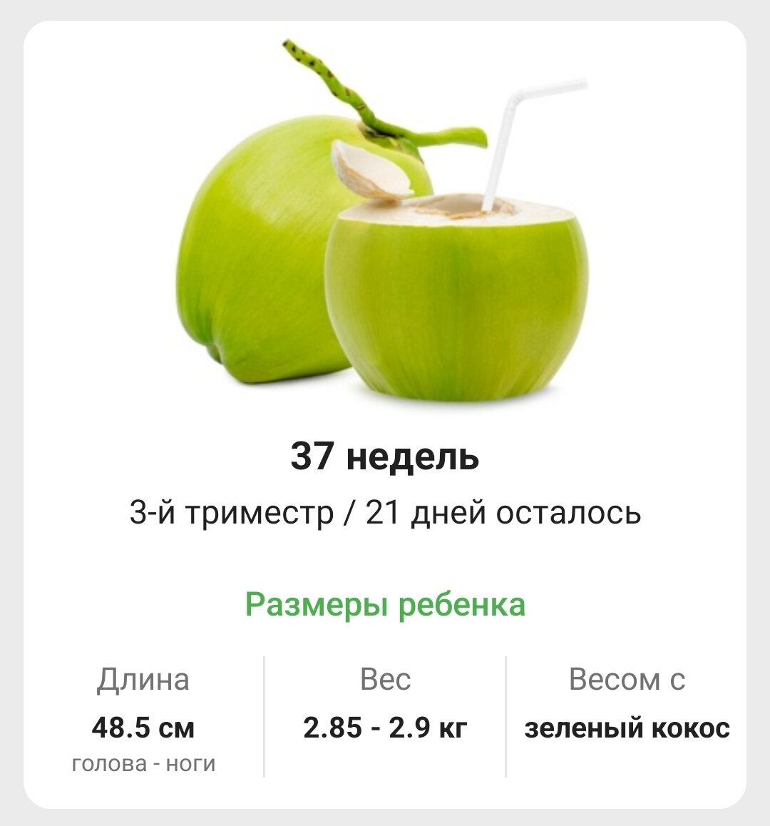 37 недель)
