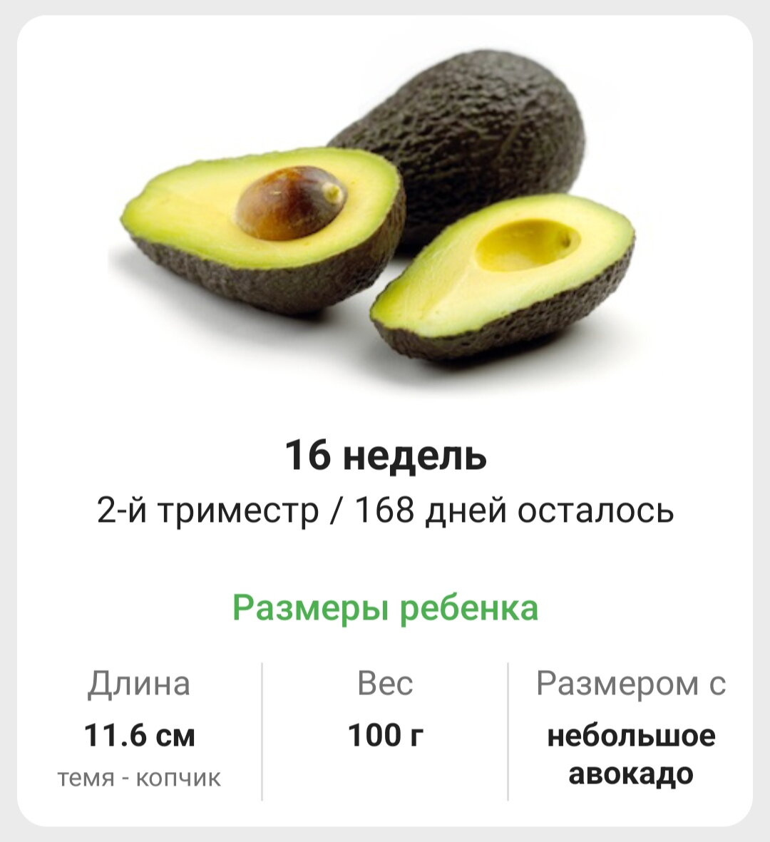 16 недель. 🥑🥑🥑