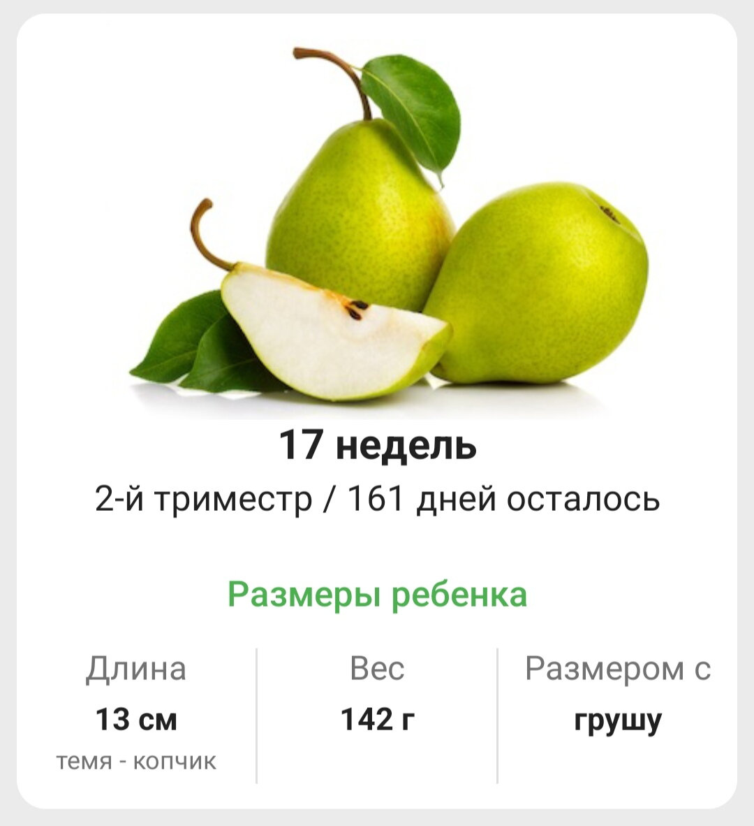 17 недель. 🍐🍐🍐