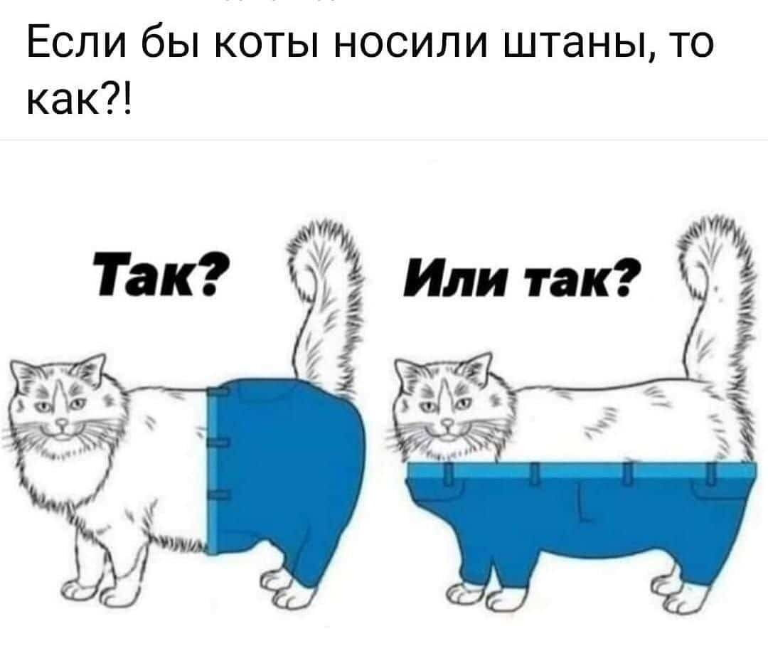 Готовимся к пятнице))) Голосуем за модника в штанишках ;)