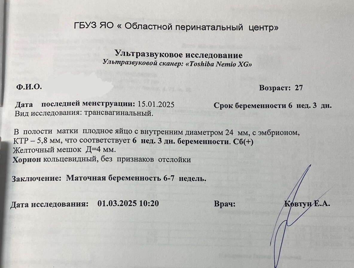 Хроники 6 недели ЭКО беременности