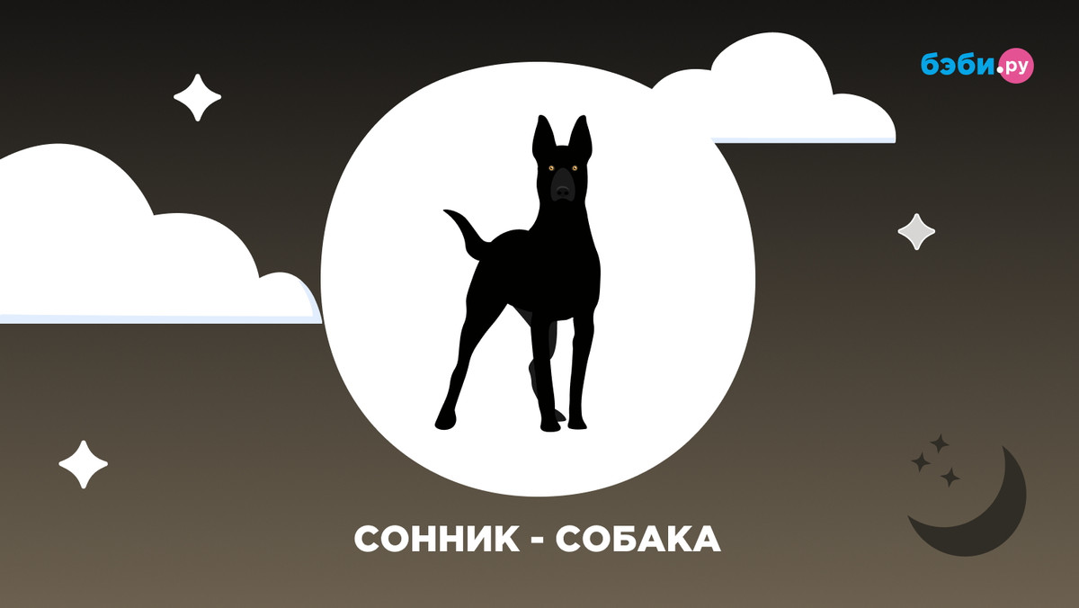 К чему снится собака