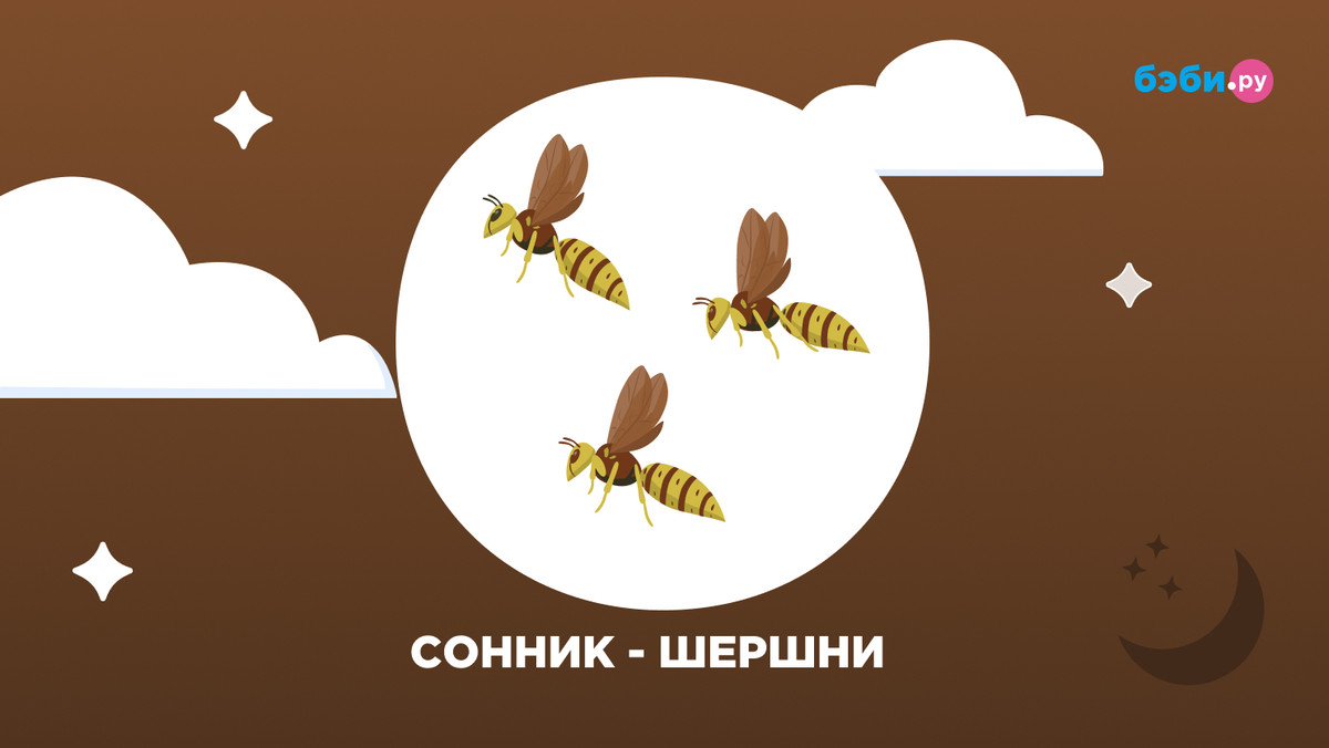 К чему снятся шершни: толкование и значение снов про шершней — Бэби.ру