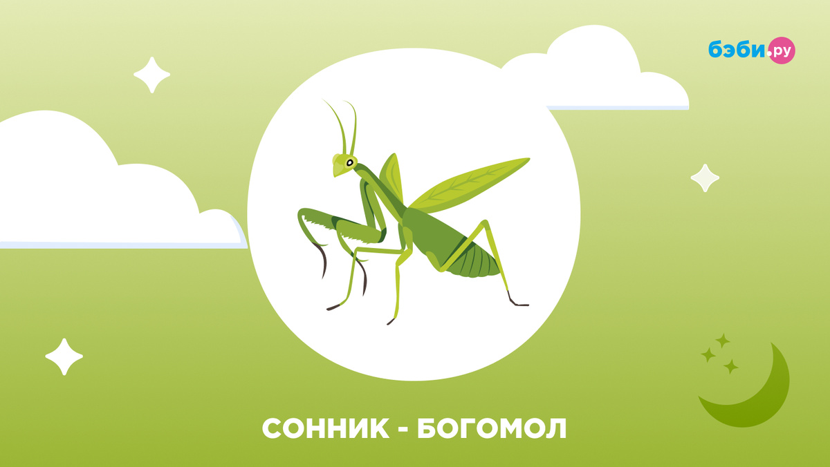 К чему снится богомол