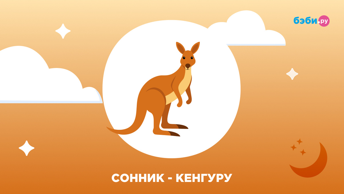 К чему снится кенгуру