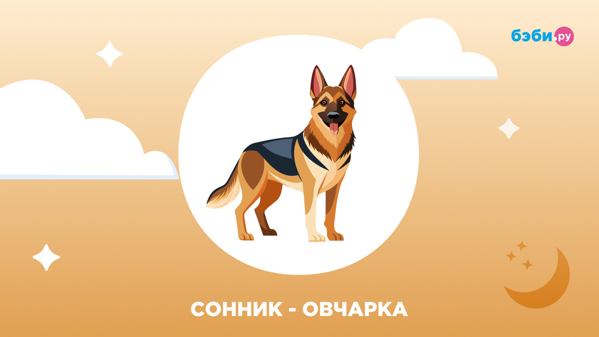К чему снится овчарка