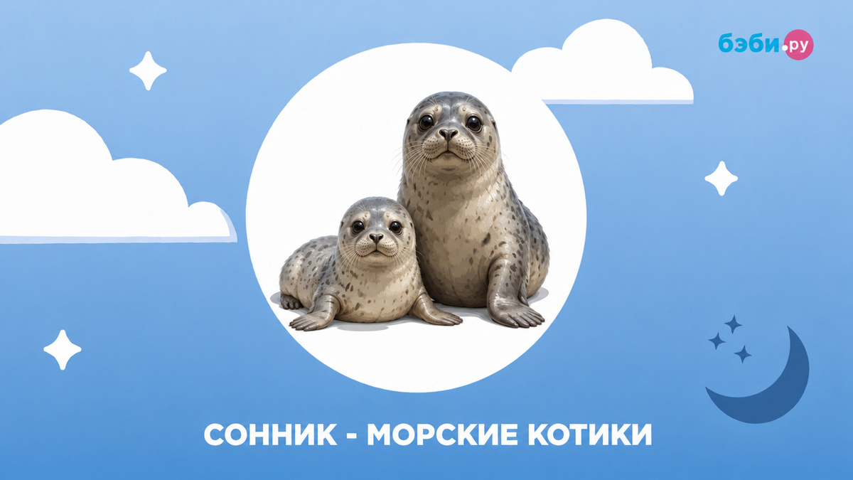 К чему снятся морские котики