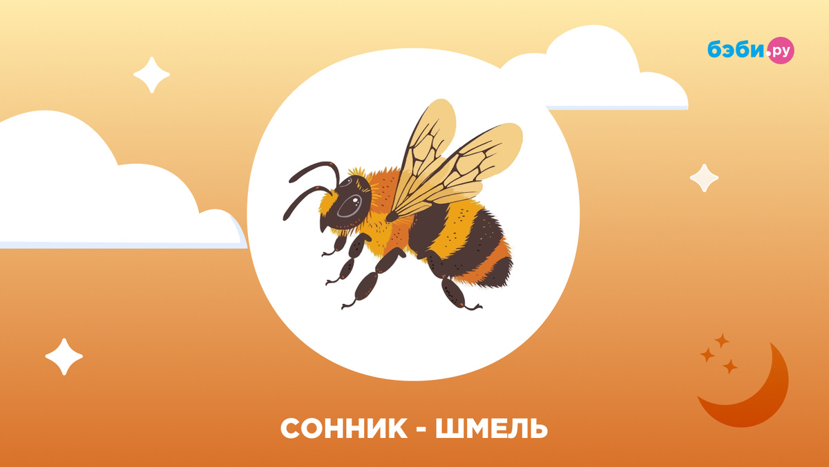 К чему снится шмель