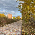 Дарья