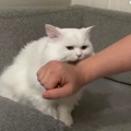 Валерия