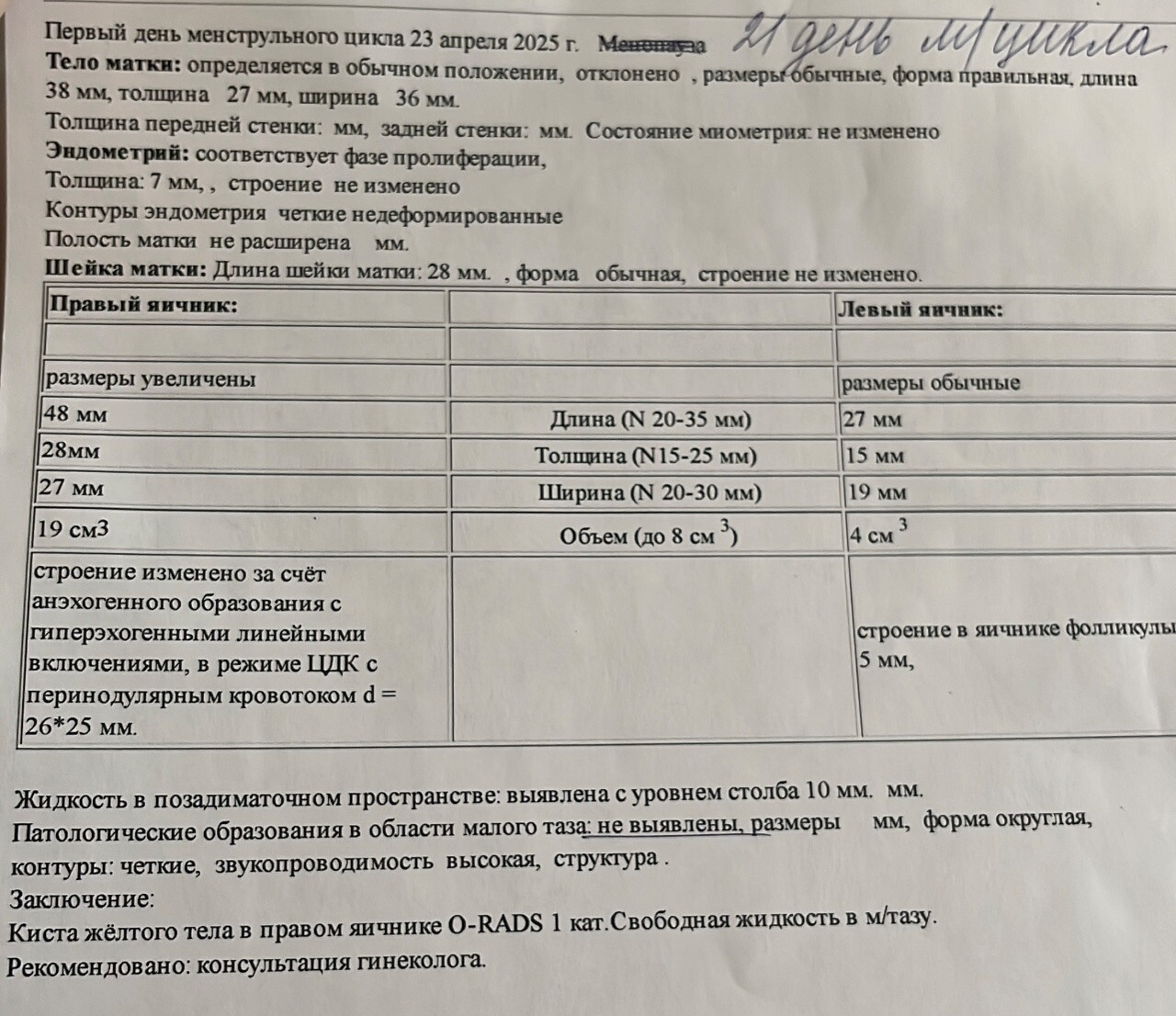 Киста желтого тела