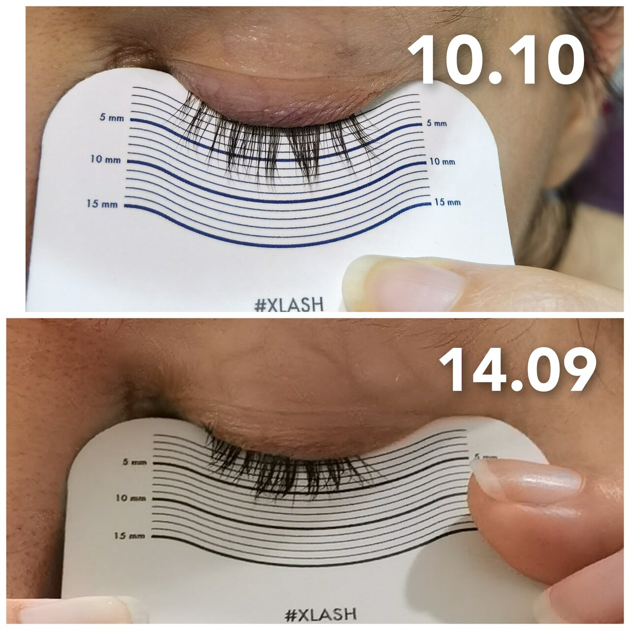 Xlash. Реально выросли ?