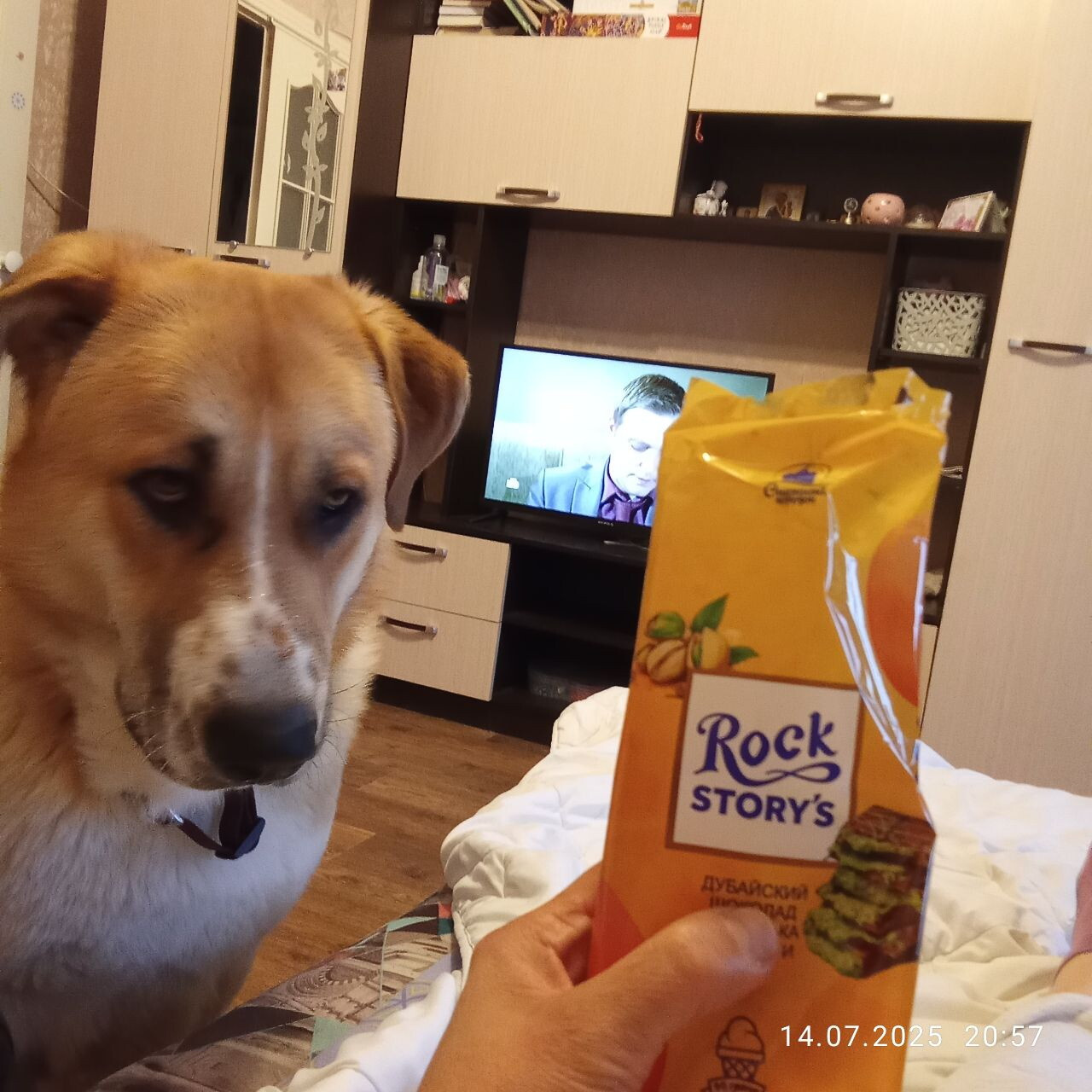 Мой🥰🐕