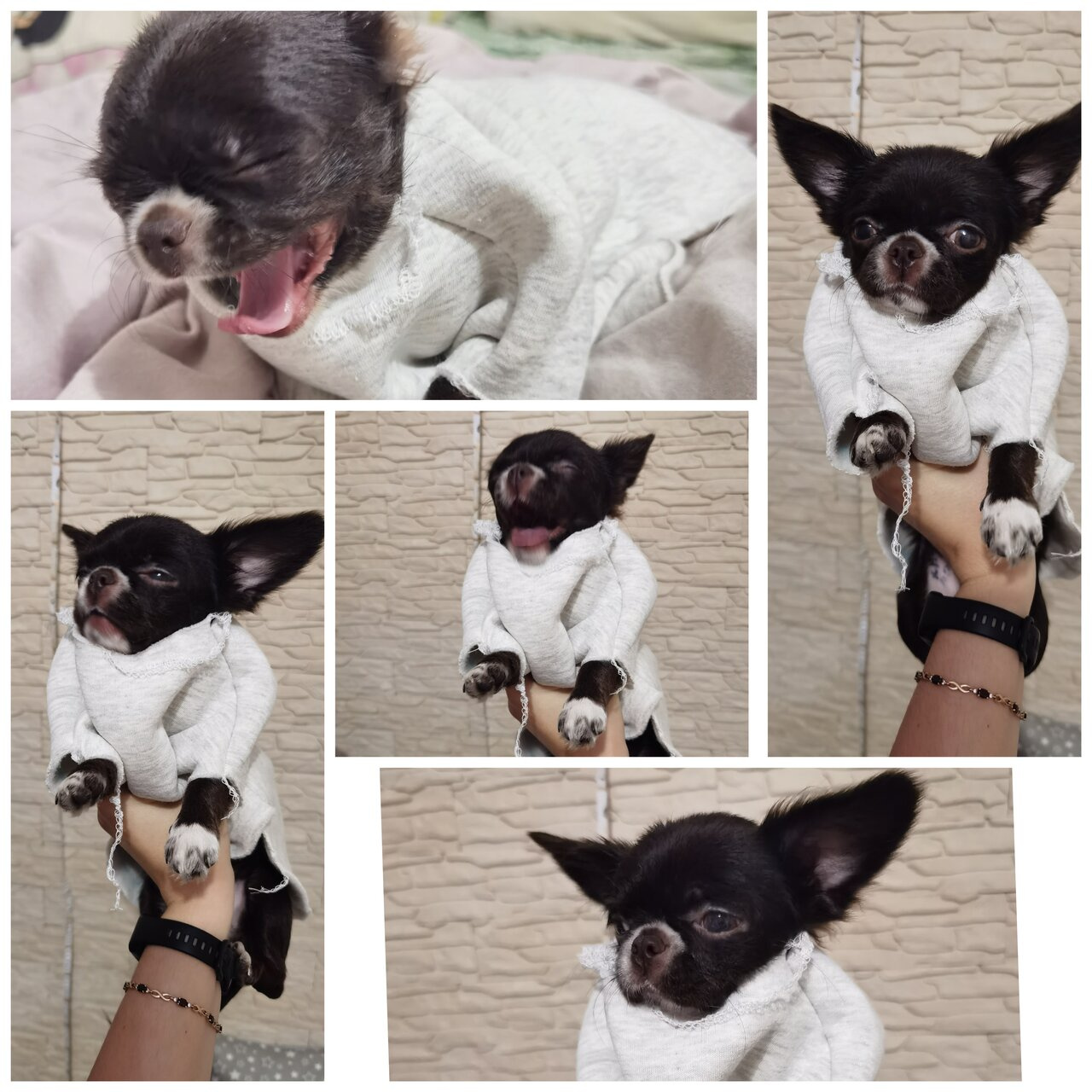 Плащик 🤣