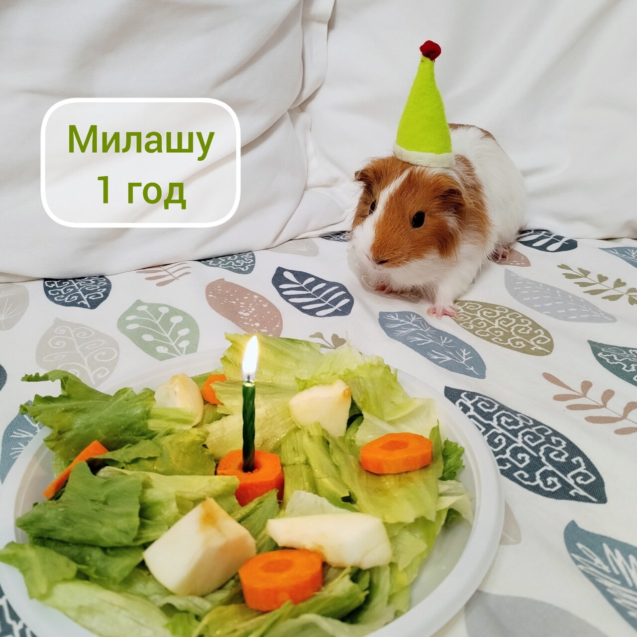 ПРИВЕТ декабрь!