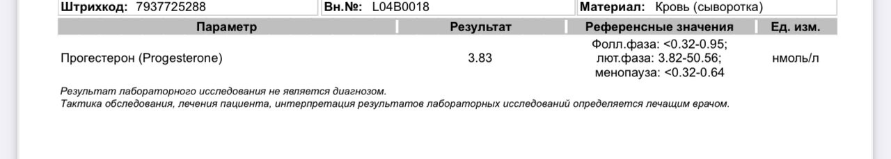 Сдала вчера прогик