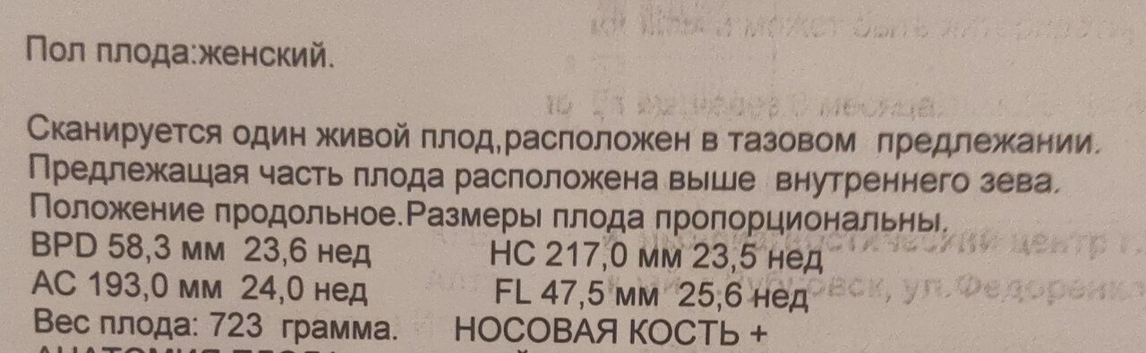 УЗИ
