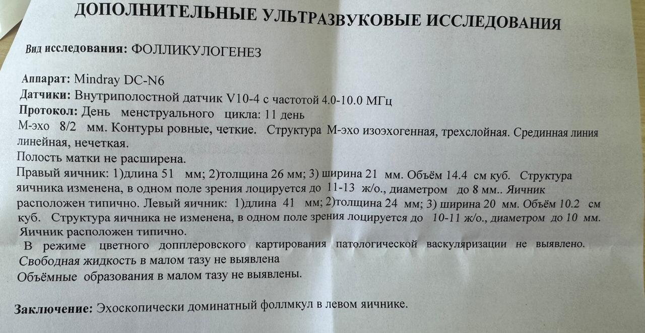 фолликулогенез. ждать ли овуляцию