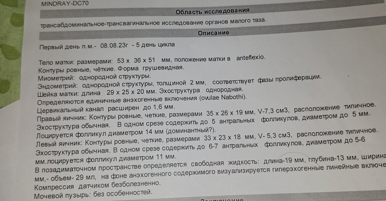 Гинекология, вопросы по женскому здоровью
