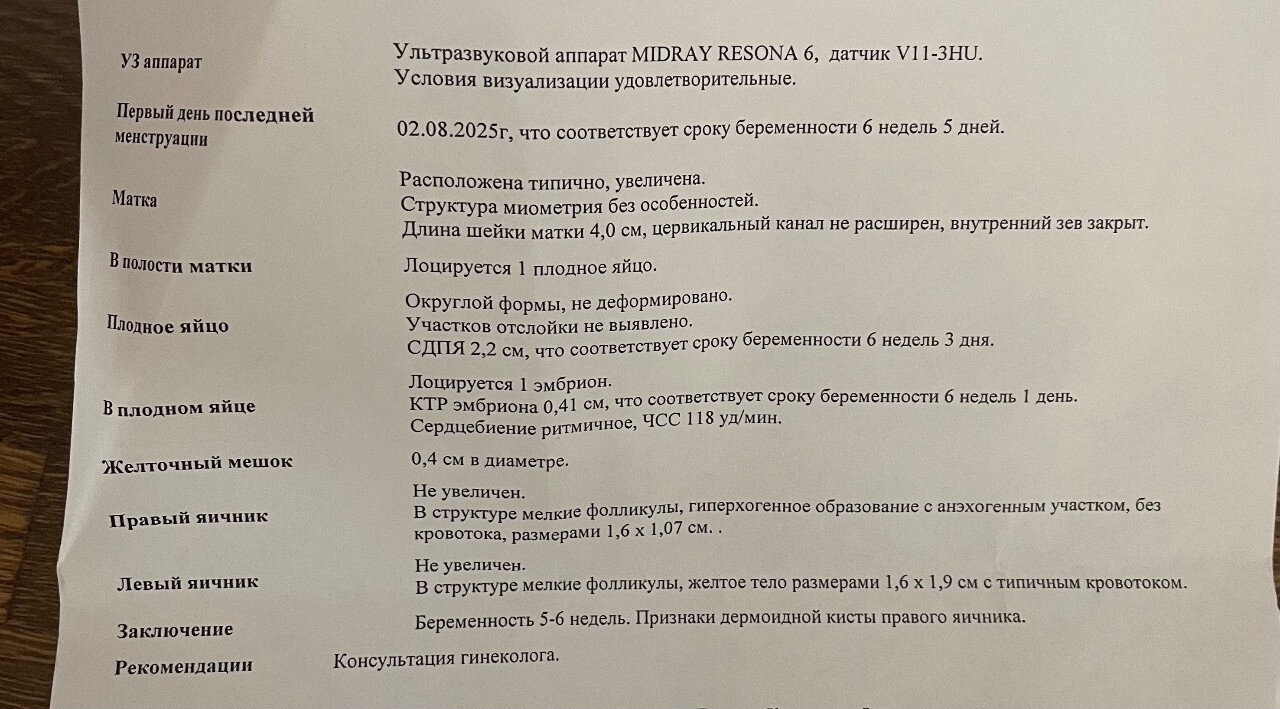 Сходила на узи