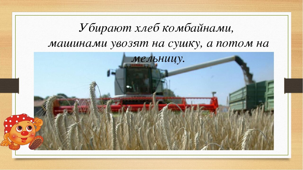 Чем убирают хлеб, если не комбайном?