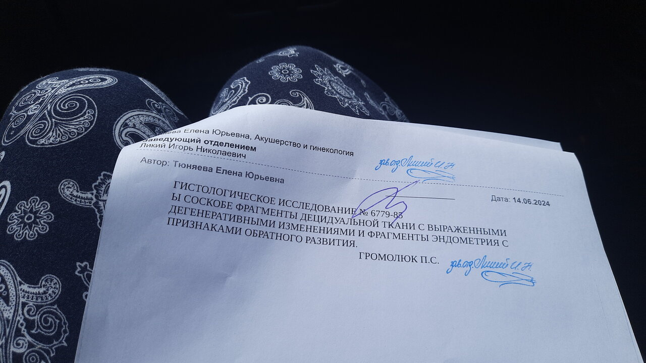 Гистология