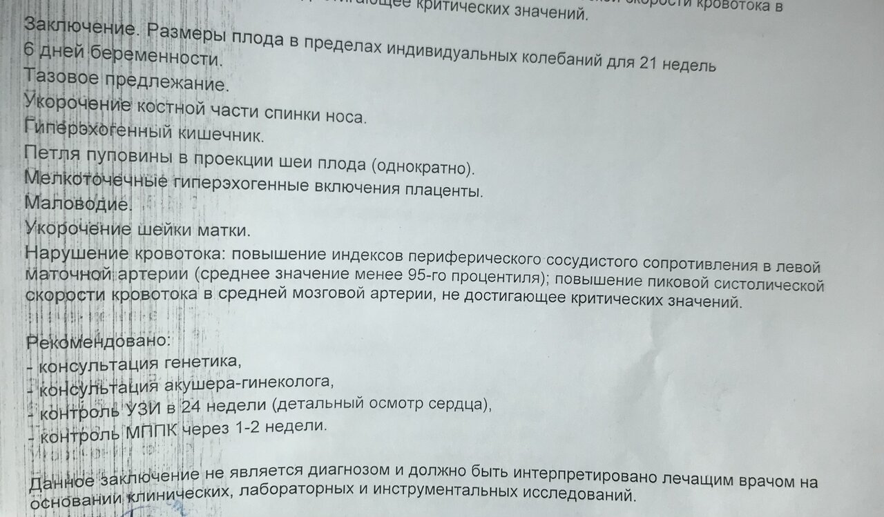 узи и первы доплер, 21.6