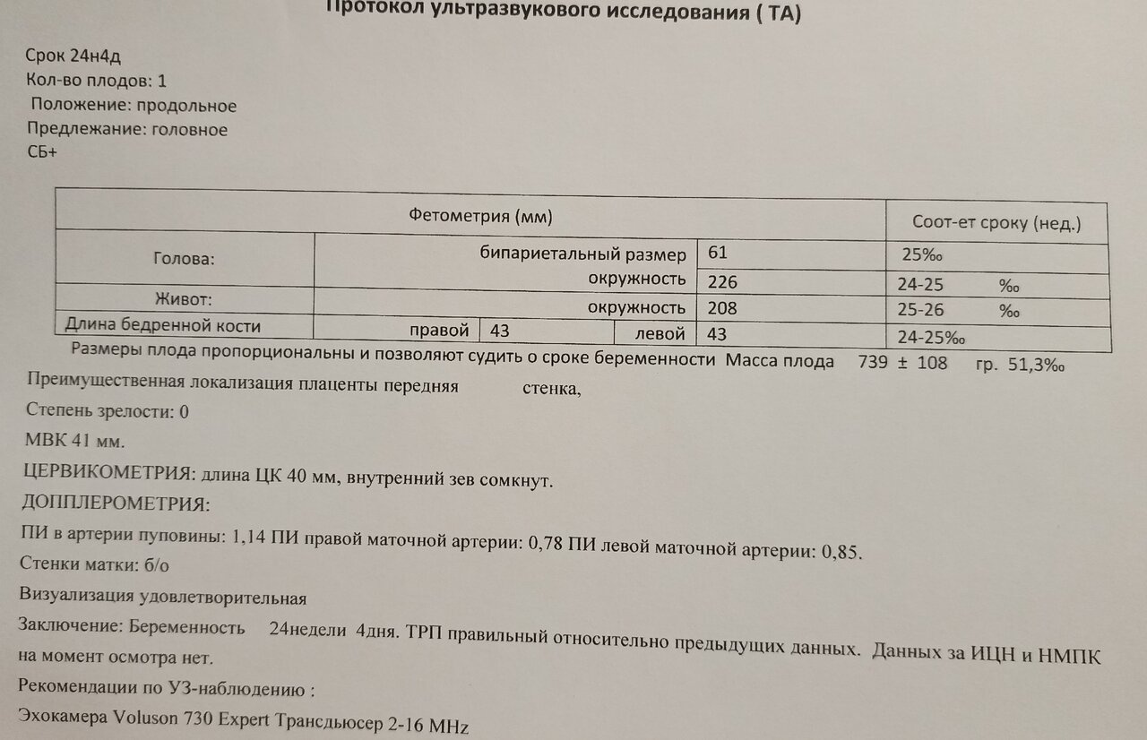 УЗИ на 25-й неделе