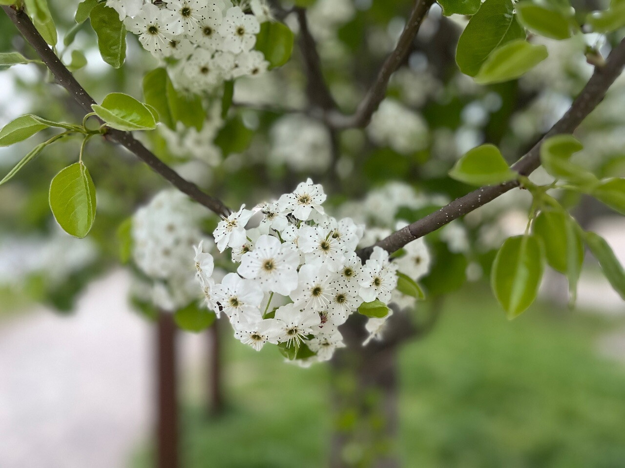 Наши каникулярные прогулки.