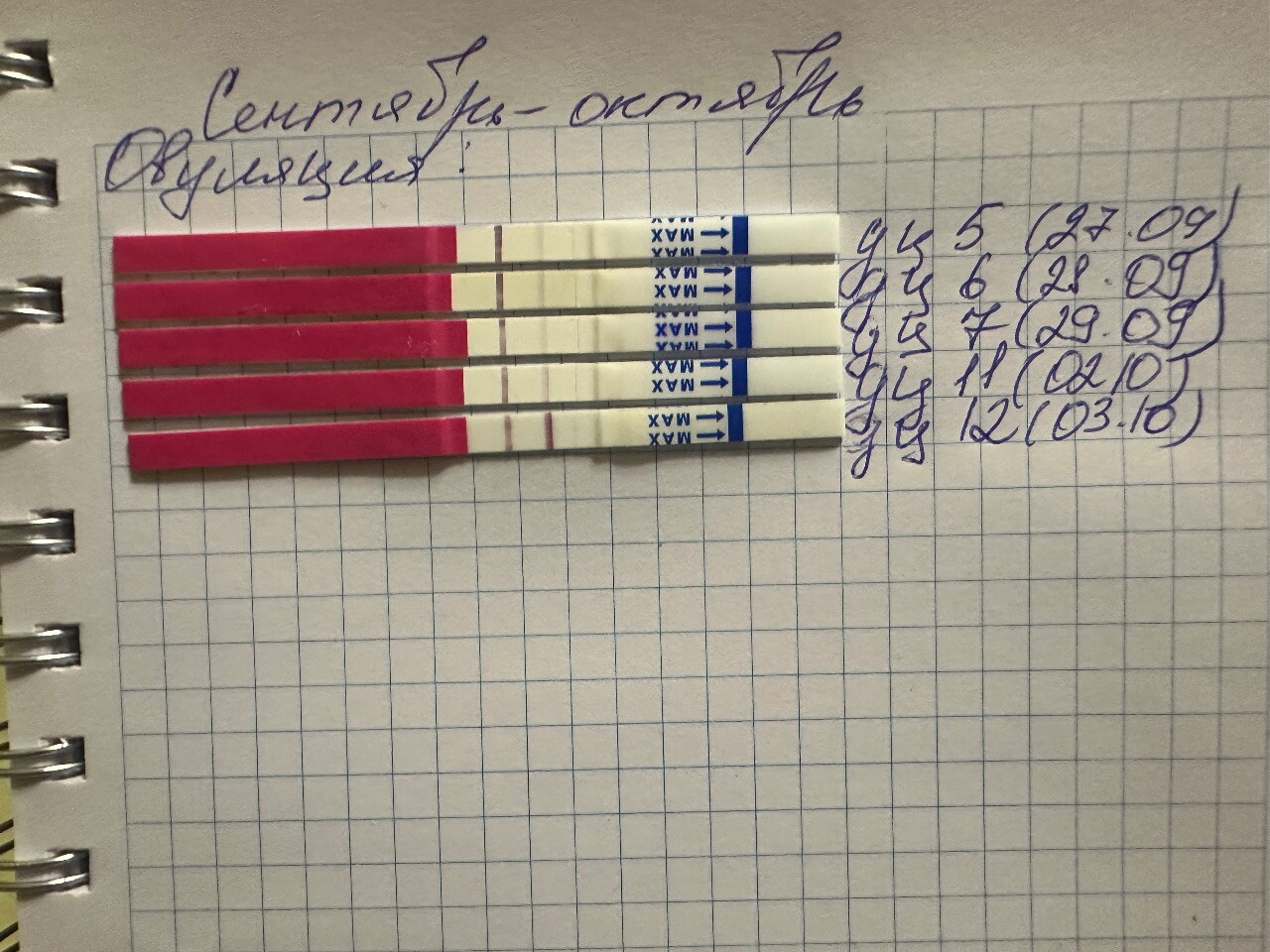 Первый раз тесты на овуляцию, оно))