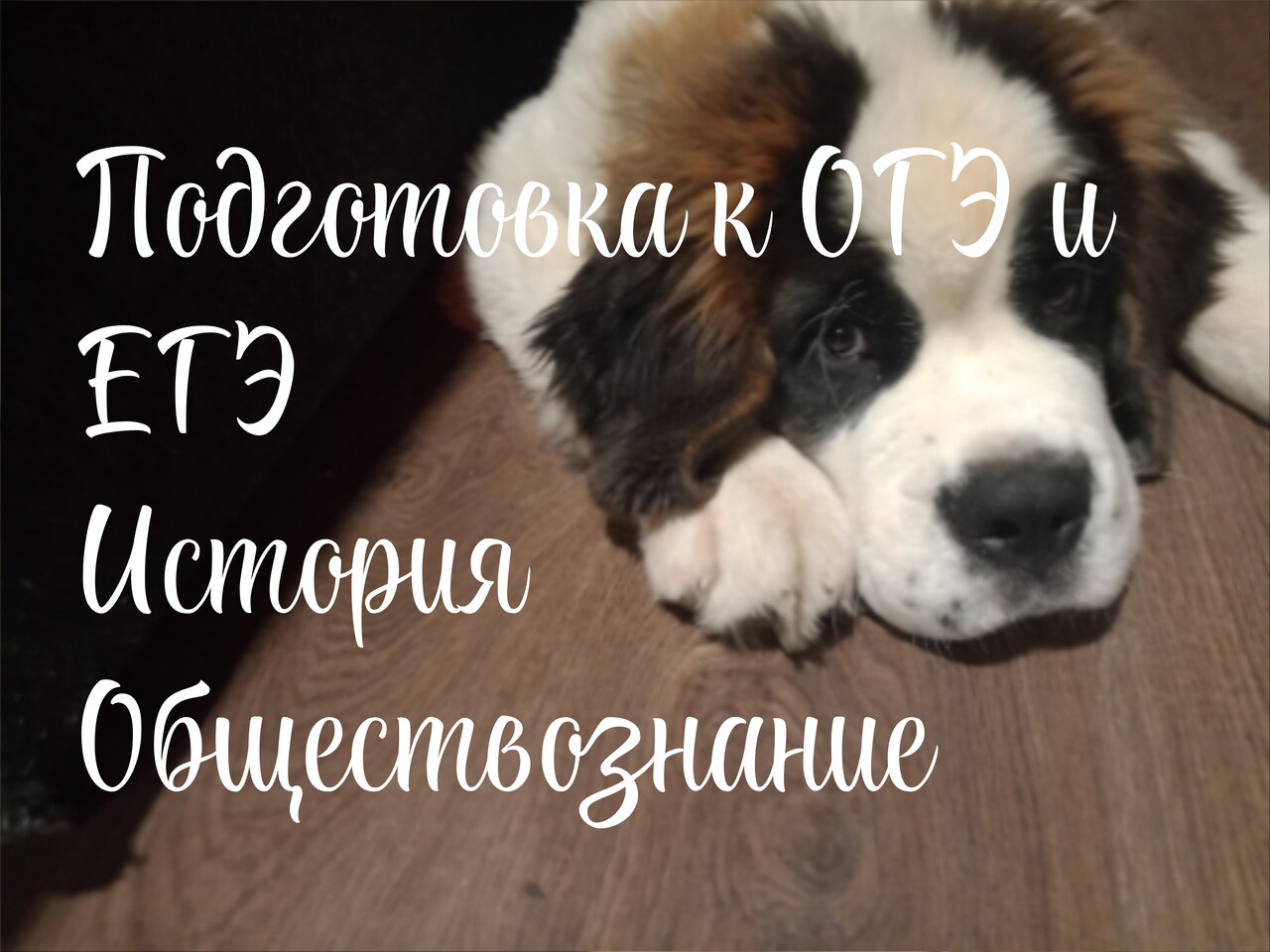 Репетитор по истории и обществознанию
