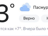 Девочки