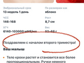13 недель. 🍑🍑🍑