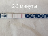 First reply/первый ответ тест.