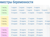 8 месяцев