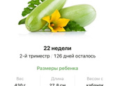 22 недели .