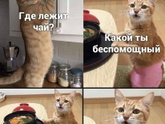 У кого также дома? )))