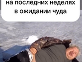 Предвестники