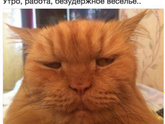 Поделитесь приколами, которые храните в телефоне?
