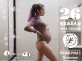 26 недель ?