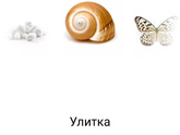 7 недель