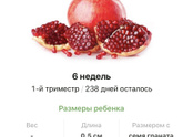 6 недель .