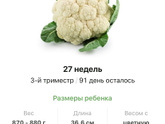 27 недель .