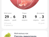 И снова здравствуй, декрет!